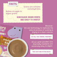 Wheaty Ragi Baby Porridge Mix