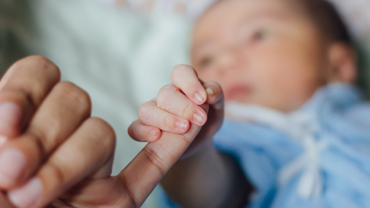The Role of Ghee In Your Baby’s Diet: A Staple of Indian Nutrition And Health