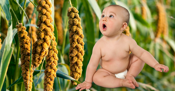 INTRODUCING MILLETS TO BABIES