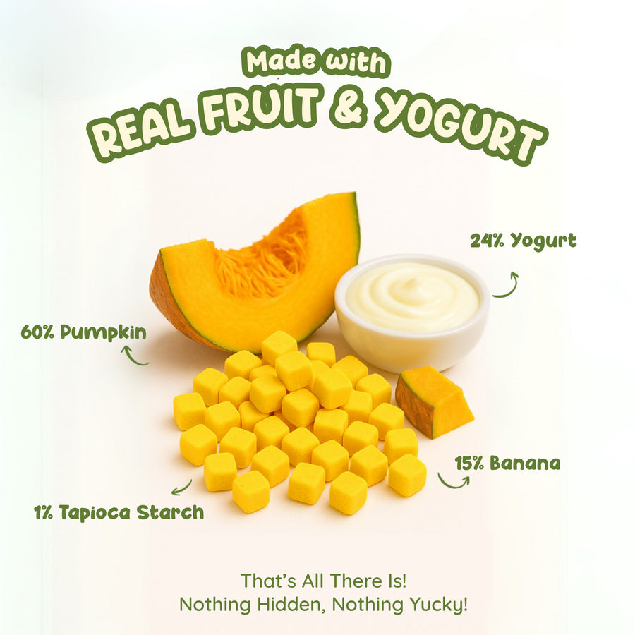 Pumpkin Yogurt Melts Snacks