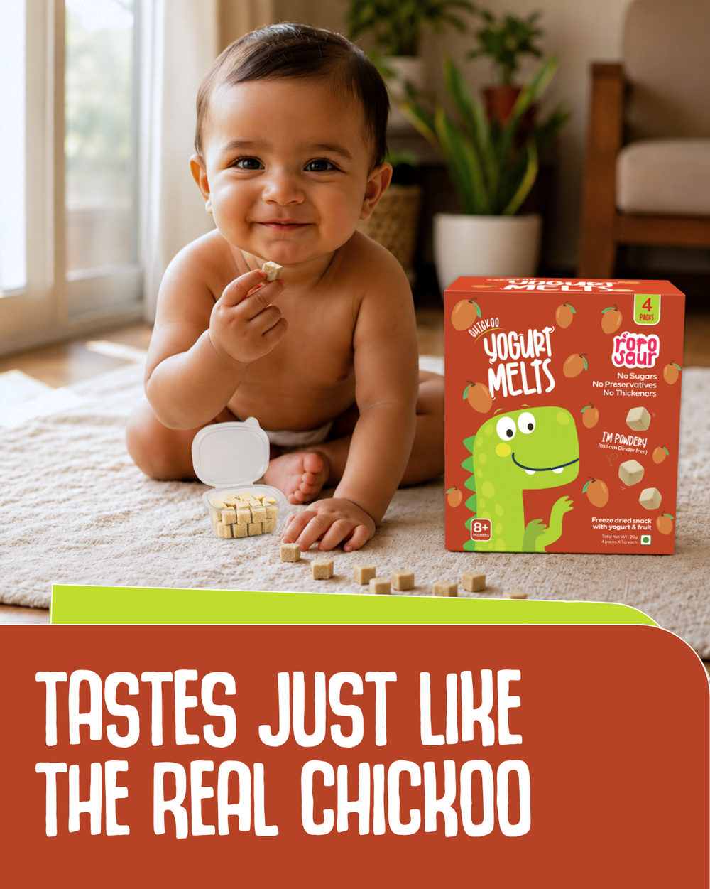Chickoo Yogurt Melts