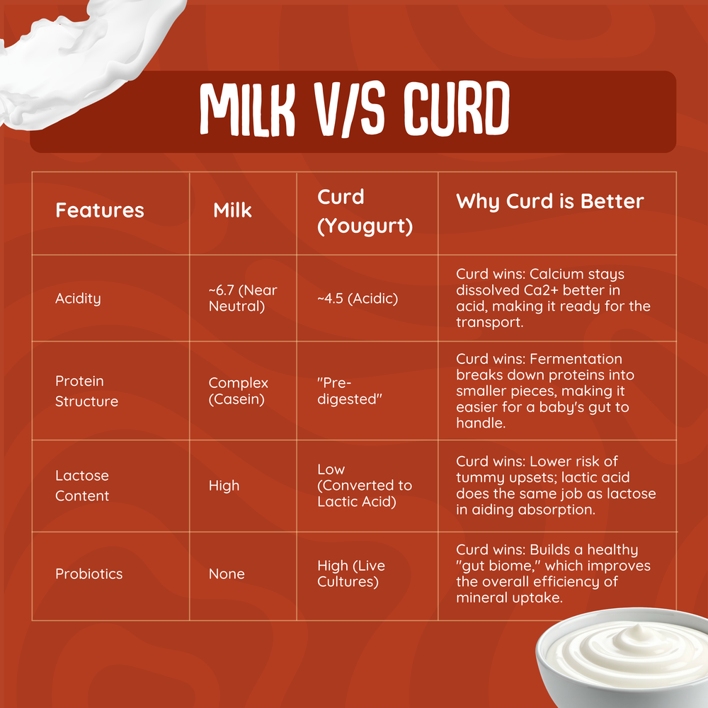 Chickoo Yogurt Melts