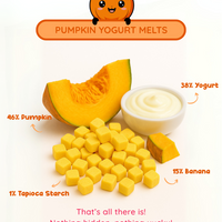 Pumpkin Yogurt Melts Snacks