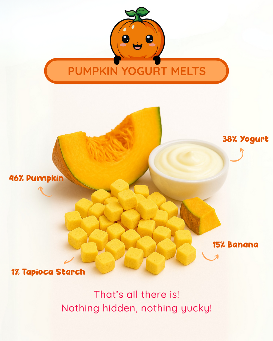 Pumpkin Yogurt Melts Snacks