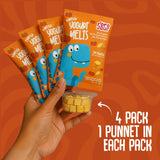 Pumpkin Yogurt Melts