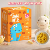 Pumpkin Yogurt Melts - 4 Pack